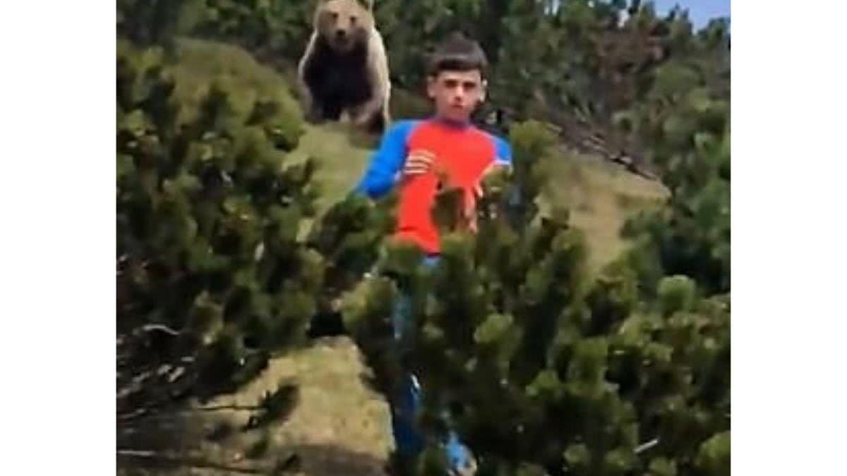Vídeo mostra desespero de criança enquanto foge de urso durante piquenique em família (Foto: reprodução 