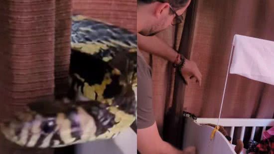 A cobra foi resgatada - Reprodução/Instagram