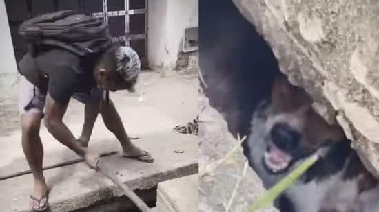 Moradores ajudam cachorro sair do bueiro - Reprodução / Instagram / @evenilsonpintoof