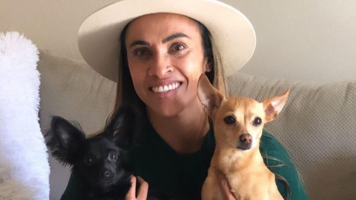 Marta abre abrigo para cachorros desabrigados - Reprodução/Instagram @martasilva10