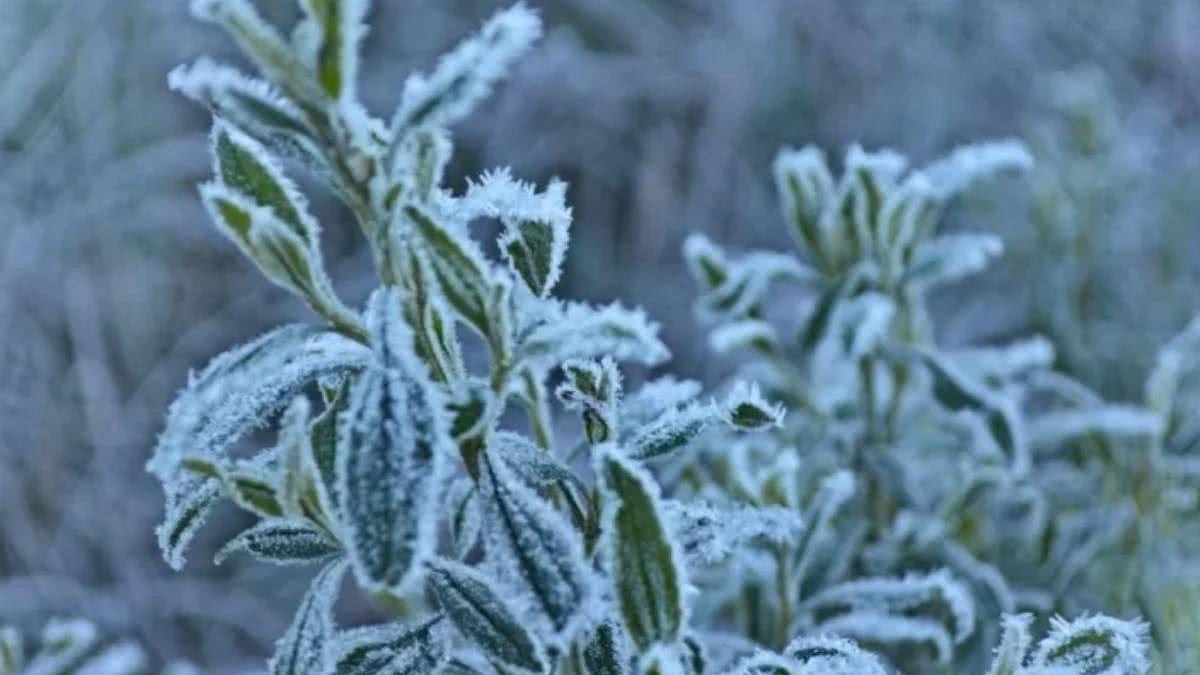 É possível proteger toda a família das doenças respiratórias de inverno mudando alguns hábitos dentro de casa - Shutterstock