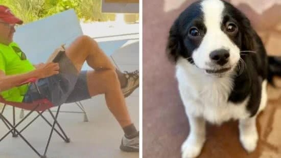 O filhote de cachorro foi adotado por um dentista aposentado - Reprodução / Palm Springs Animal Shelter