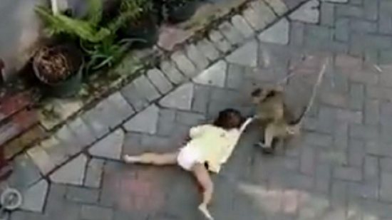 Macaco arrasta criança pela rua na Indonésia - Getty Images