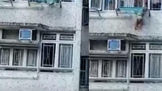Imagem Vídeo: Avó resgata criança de 3 anos que ficou pendurada em janela de prédio em cena de arrepiar