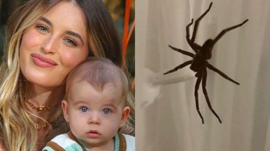 A aranha estava no berço do bebê - Reprodução/Instagram @lorenacarvalhod