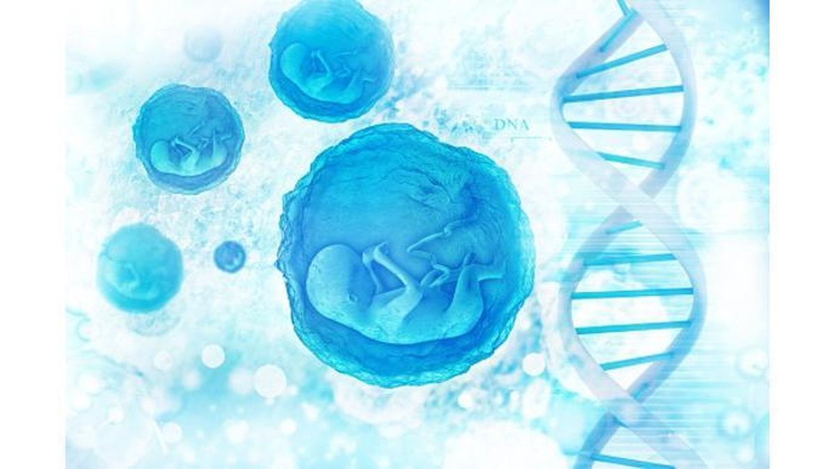 A nova técnica de reprodução humana une o material genético dos pais e doador - reprodução/Getty Images