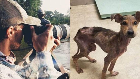 Cachorro abandonado é encontrado por fotógrafo - Reprodução / Razões Para Acreditar