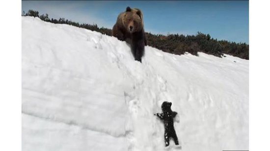 Imagem Mãe é mãe! Ursa é filmada parando o trânsito para tirar filhotes do meio da estrada