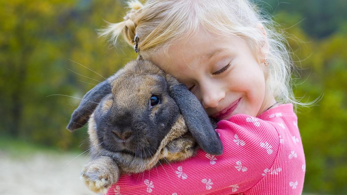 Você já ouviu falar nos mini coelhos? - Getty Images