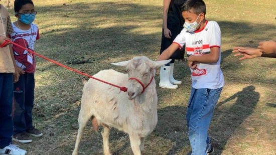 Dani Gurgel criou a ONG Conecta que utiliza terapia em crianças com ajuda de animais - Arquivo Pessoal