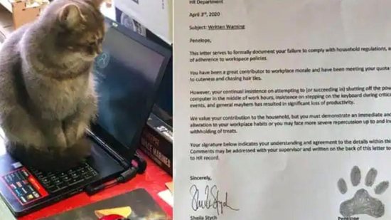 Para descontrair um pouco e dar um aviso à uma das gatas da família, Andrew Stych resolveu mandar um aviso em nome do RH por escrito - Reprodução /PopSugar