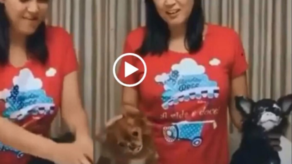 Imagem Absurdo! Mulher faz “Desafio da Farinha” com animais de estimação e é denunciada por vídeo