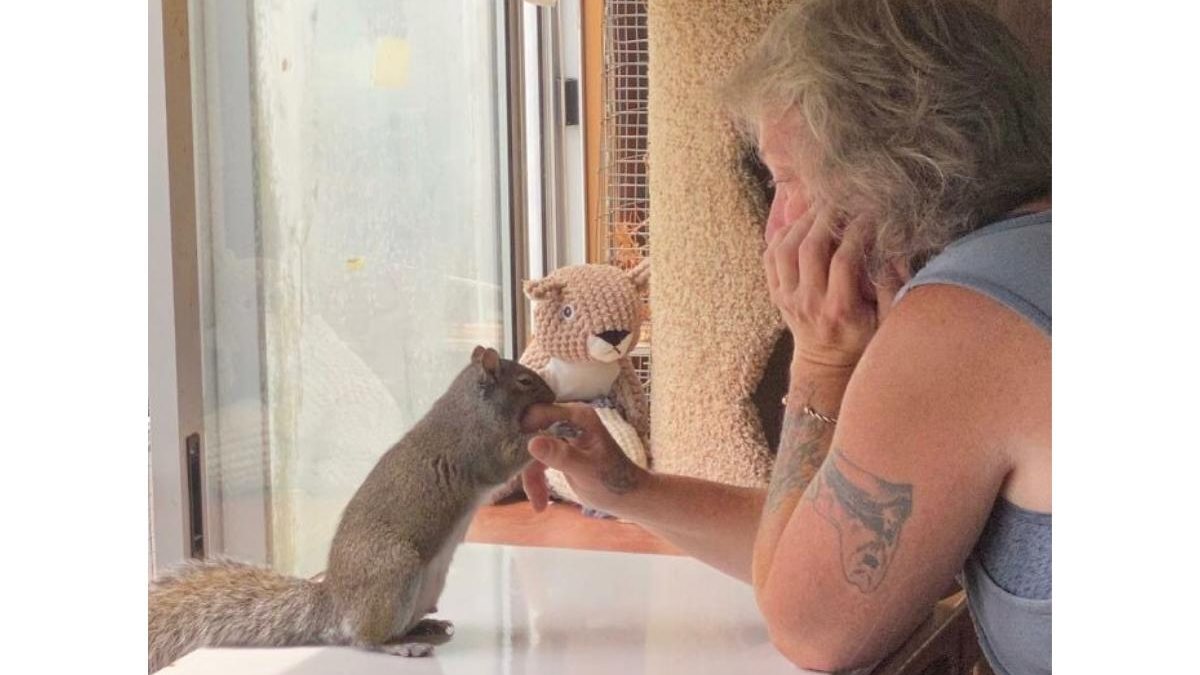 Mulher “adota” esquilo e constrói um parque de diversões para o animal - Reprodução/Instagram