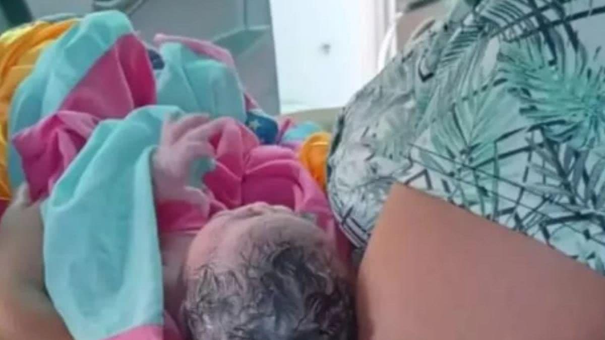 Bebê nasce dentro do carro da Polícia Militar - Reprodução / Polícia Militar de Pernambuco