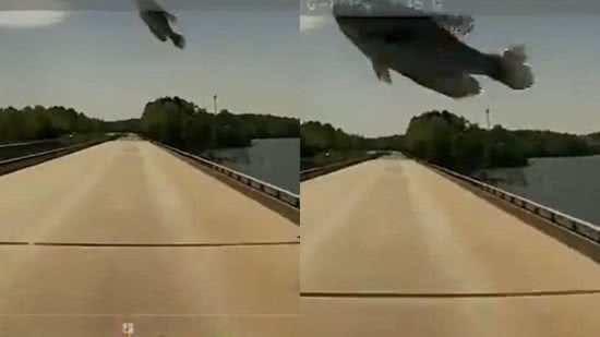 Peixe “voador” atinge vidro de caminhão no meio da estrada - Reprodução Ward Transport