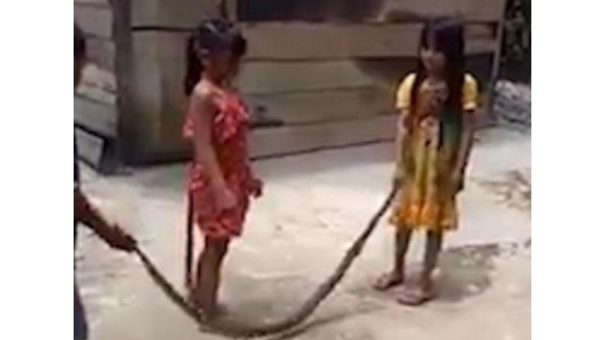 O vídeo mostra as crianças brincando com a cobra - reprodução/ Daily Mail