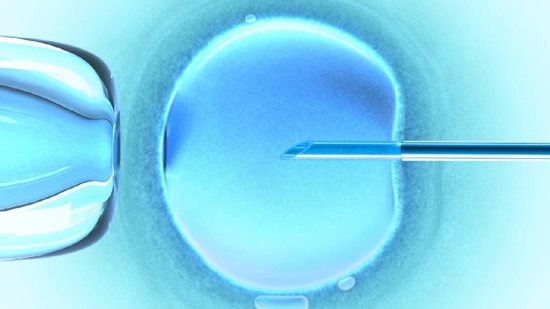 Saiba como funciona o processo de fertilização in vitro - Shutterstock