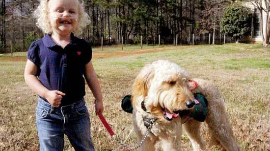 O cachorro carrega o cilindro de oxigênio para Alida - Reprodução/ The Sun / Carters News Agency