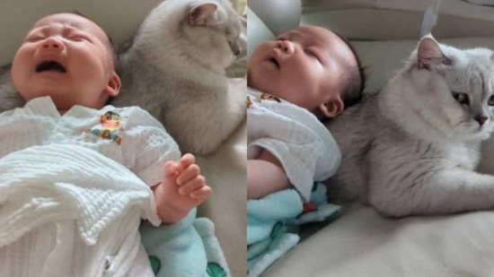Criança chorando antes de ser acalmada pelo gato - Reprodução / Reddit