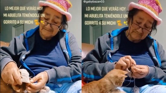 Vídeo de avó costurando um gorro para o gato da família viraliza - reprodução/TikTok/@gabybazan03