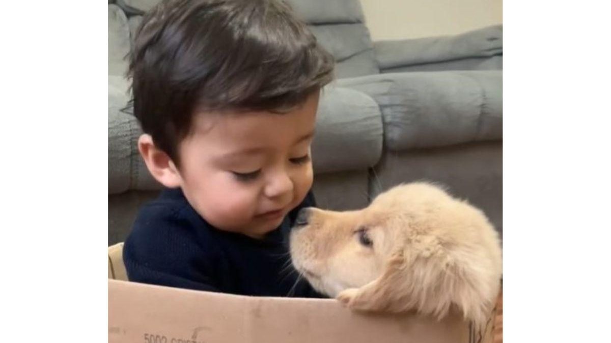 O menino ganhou a cachorra há um mês - Reprodução/ Instagram/ @deboramourasan