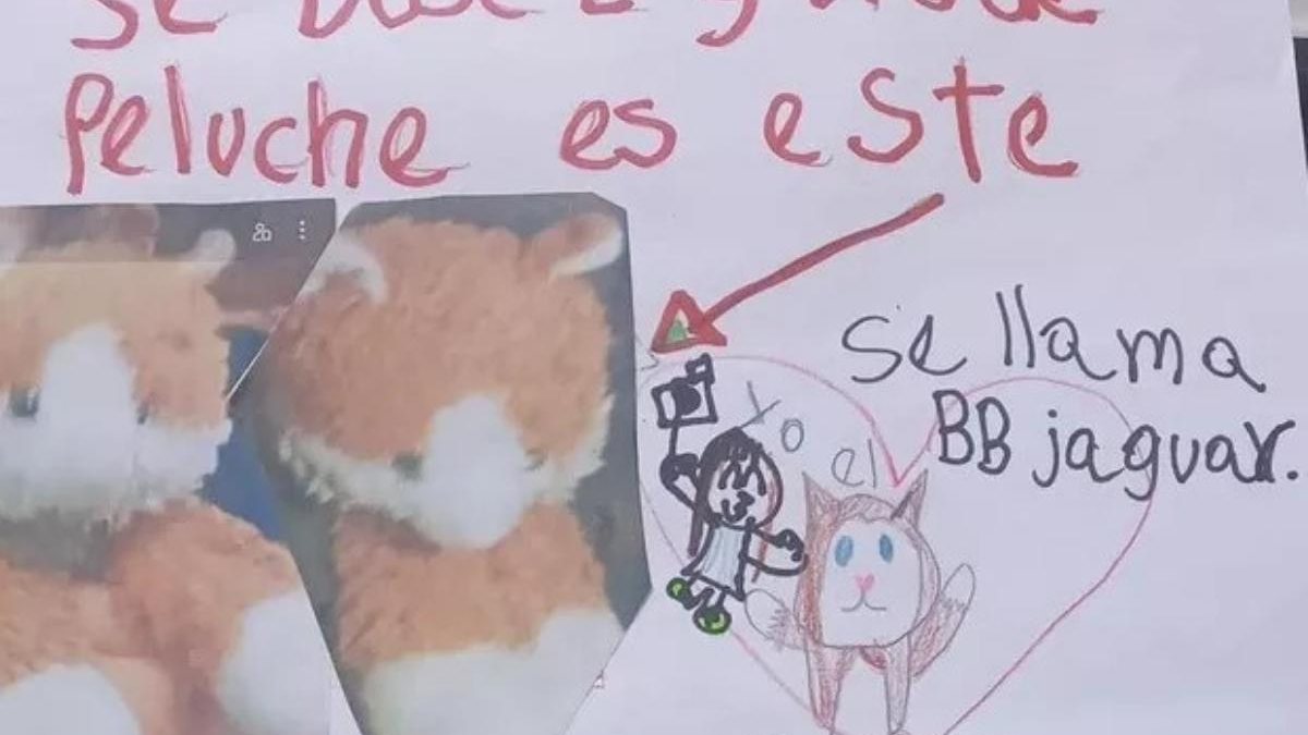 A menina fez um carta oferecendo recompensa pelo urso de pelúcia - Reprodução / YouTube