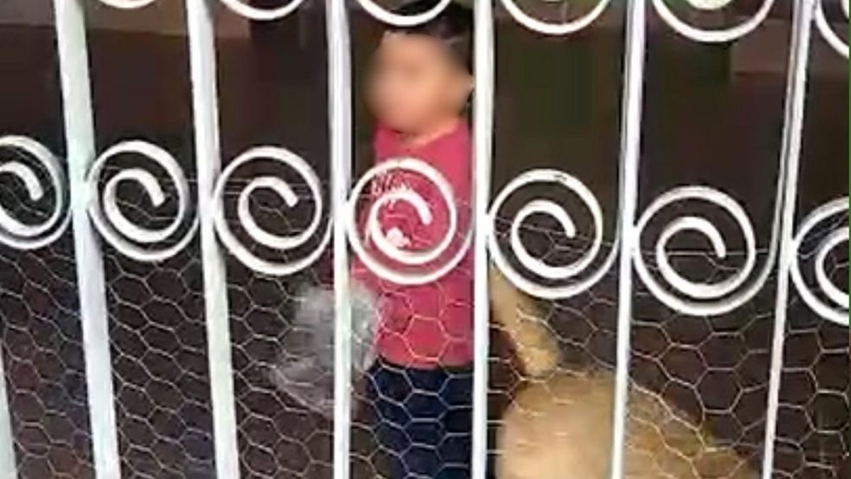 Criança é encontrada sozinha - reprodução TV Anhanguera