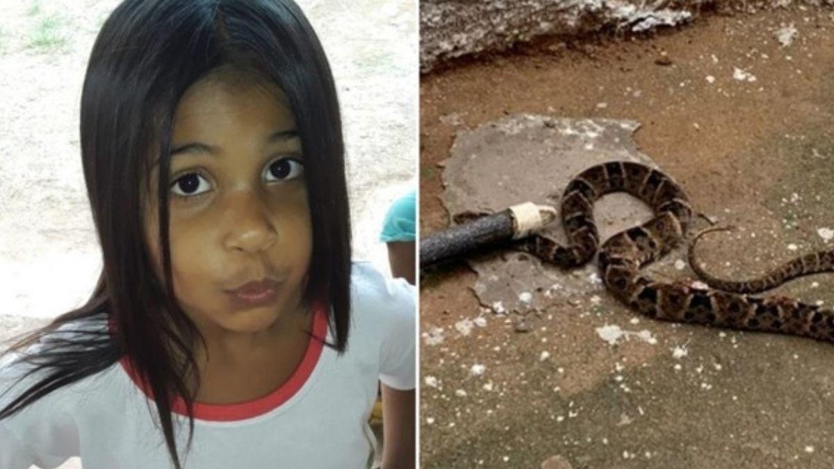 Menina de 5 anos é picada por cobra dentro de sala de aula - reprodução G1 Goiás