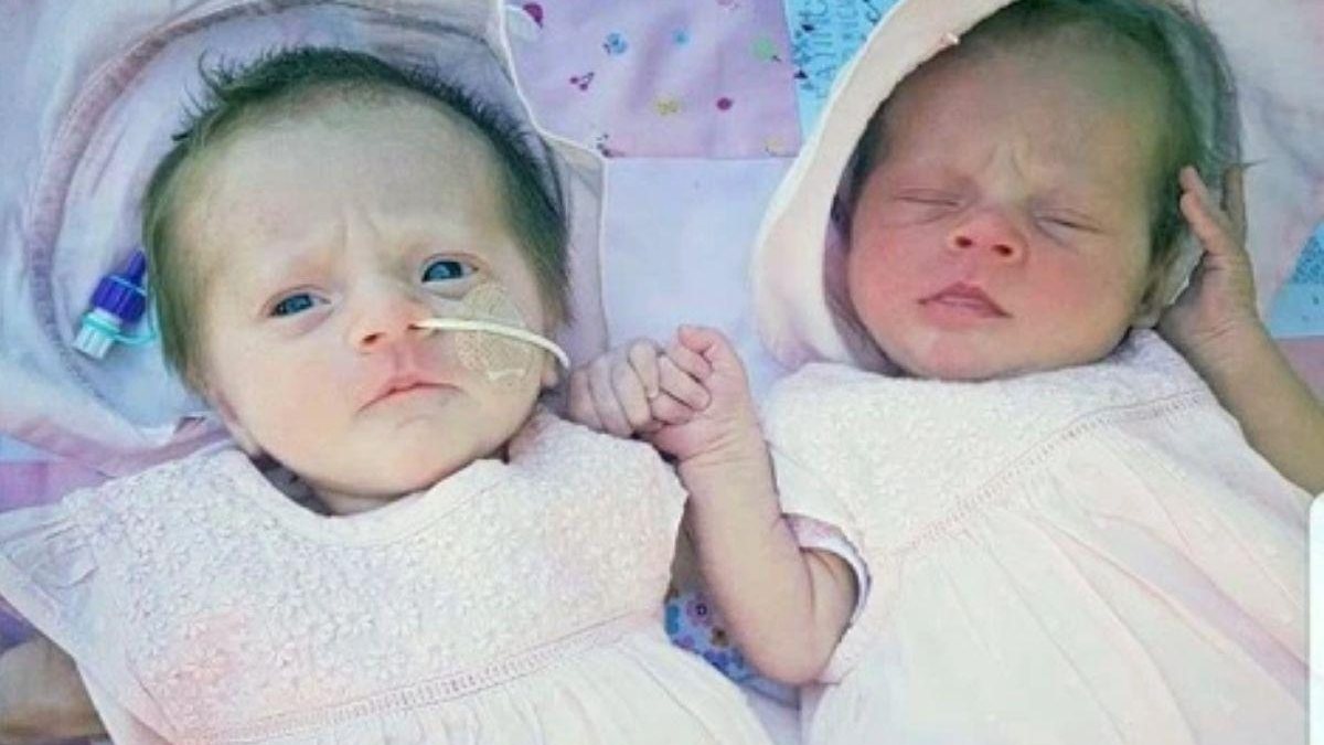 Hayley deu à luz as gêmeas em maio de 2018 - Arquivo Pessoal
