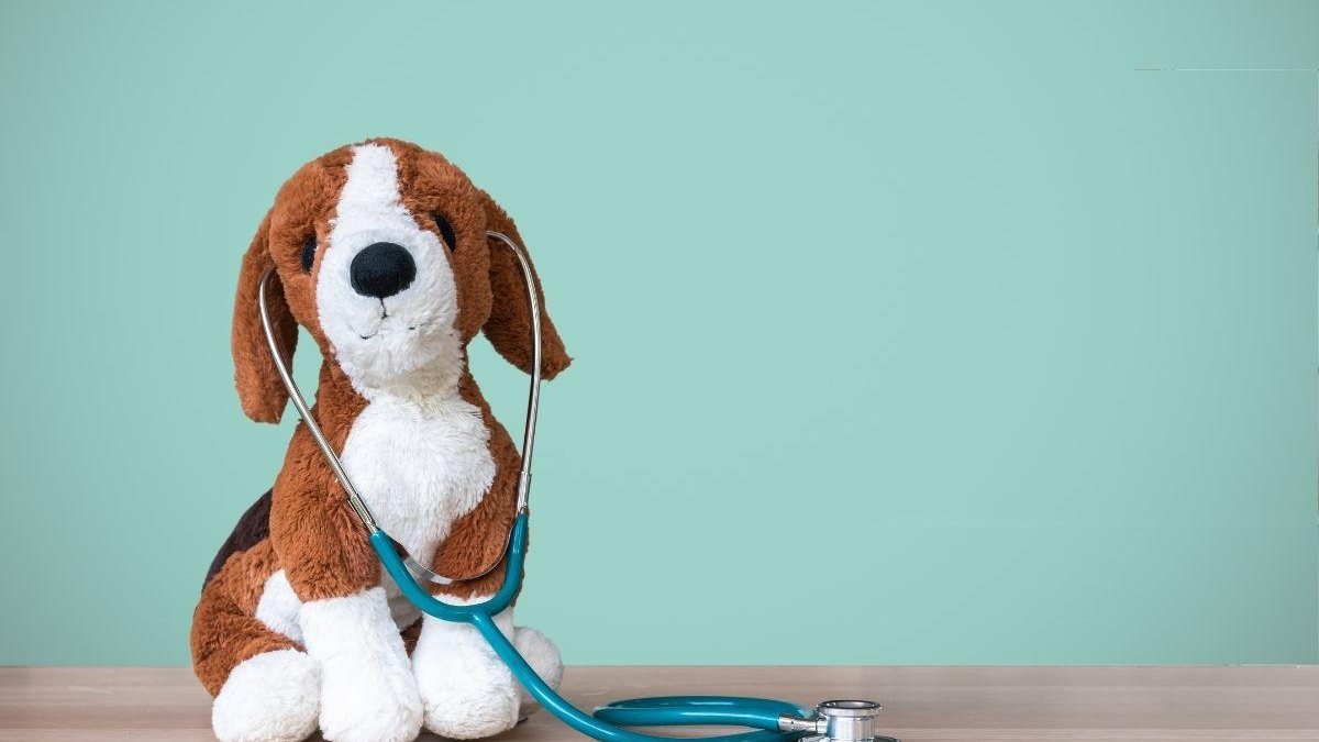 Cachorro ajuda crianças na vacinação - Getty Images