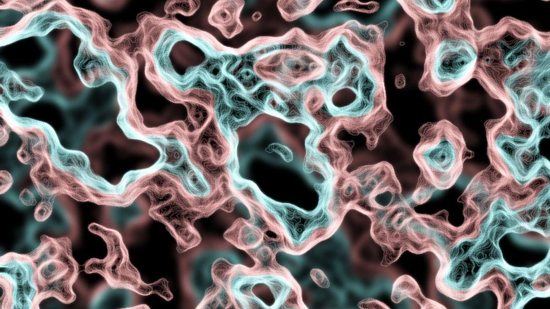 A ameba vive em águar mornas - Divulgação