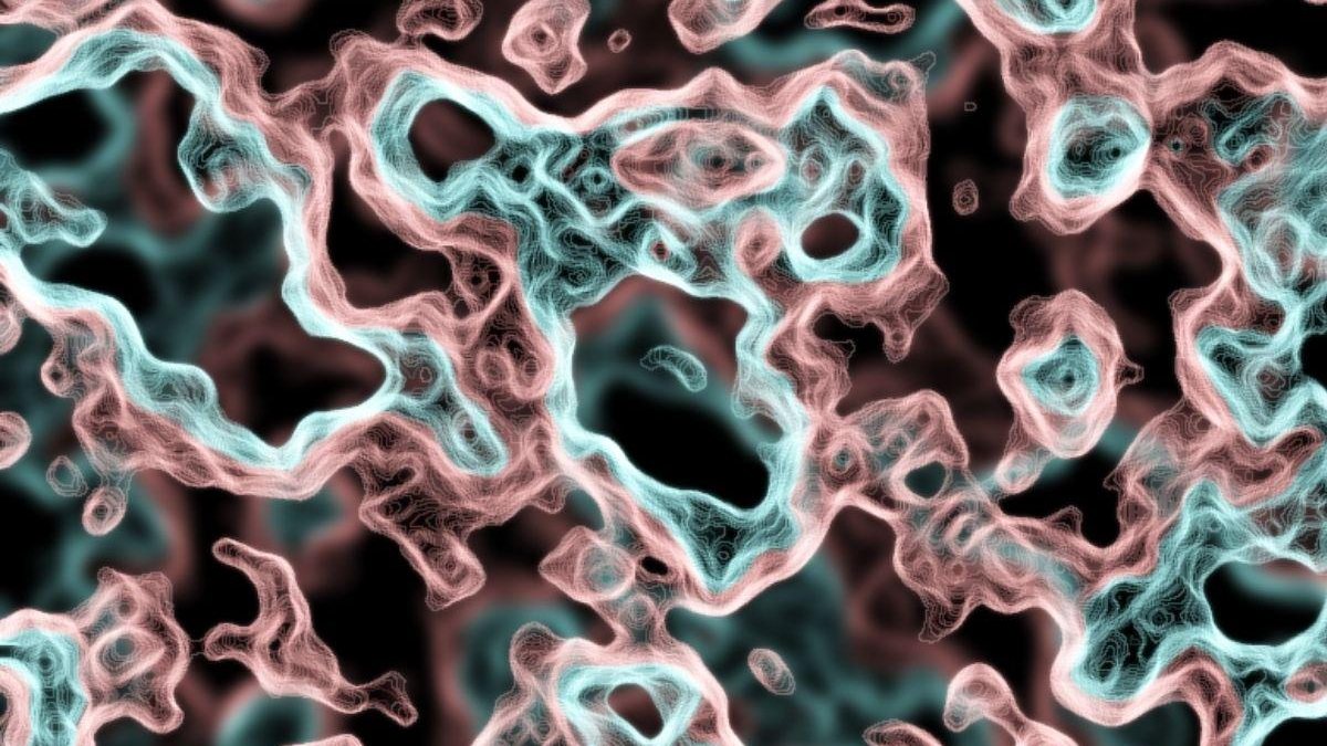 A ameba vive em águar mornas - Divulgação