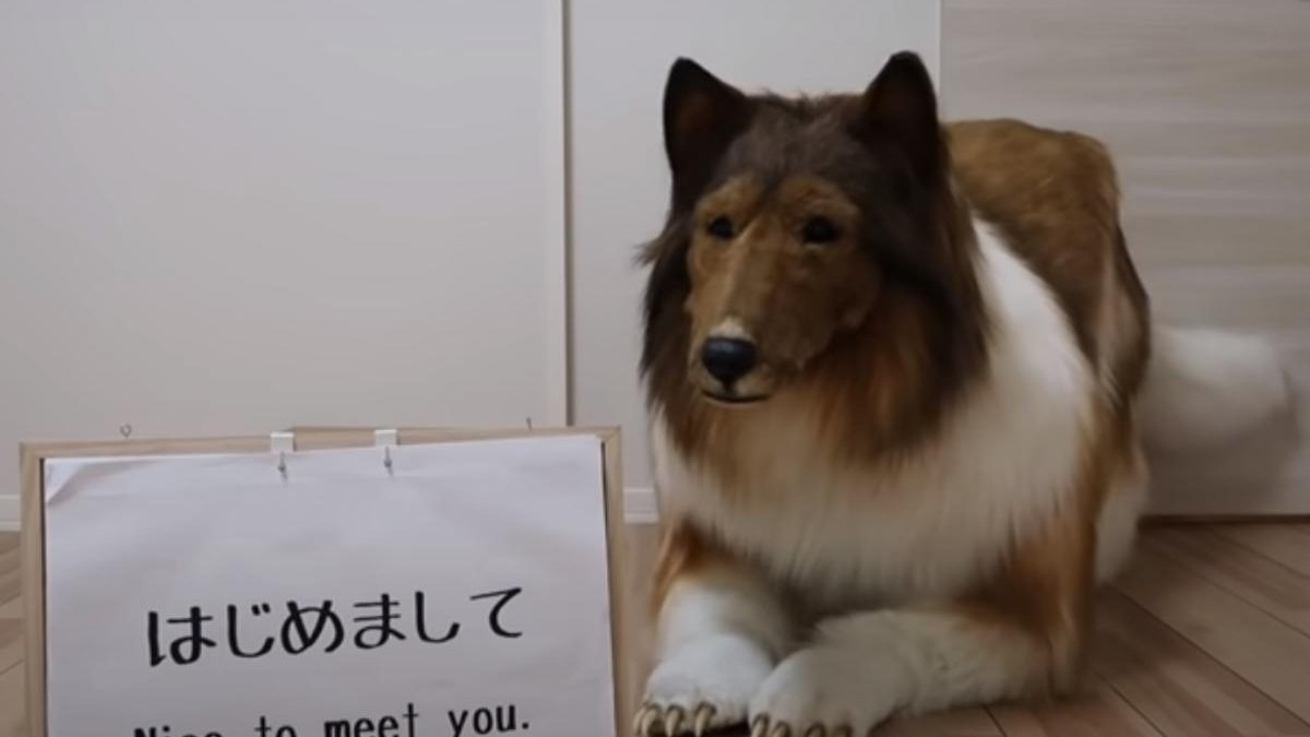 Homem faz fantasia realista e se transforma em cachorro - Reprodução/Youtube