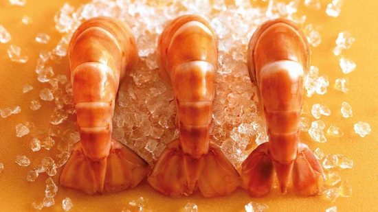 O camarão é seu aliado nas refeições em família, confia! - Getty Images