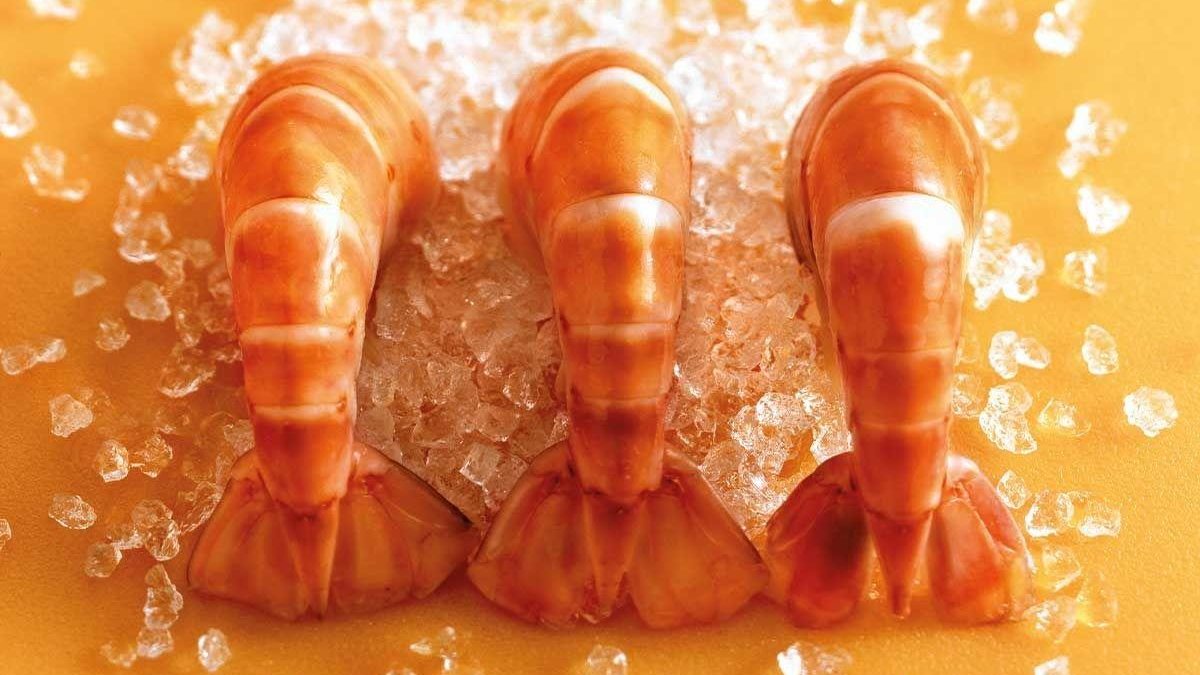 O camarão é seu aliado nas refeições em família, confia! - Getty Images