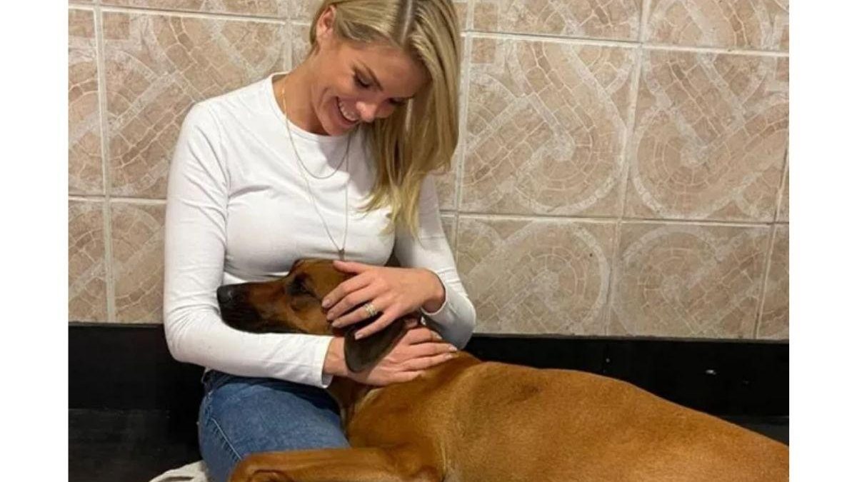 Ana Hickmann dorme com cadela após parir 17 filhotes: “Criar por amor” - Reprodução/ Instagram
