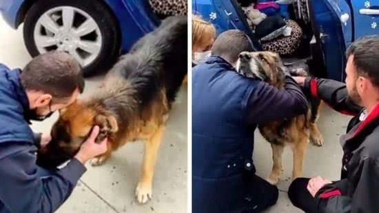 Família reencontra um cachorro que estava há 7 anos perdido - Reprodução/ Instagram