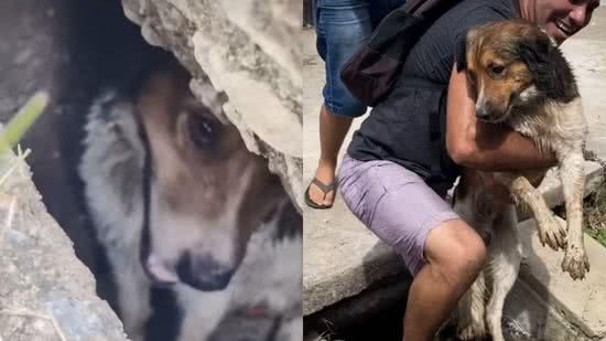 Os moradores resgataram o cachorro do bueiro - Reprodução/Instagram @evenilsonpintoof