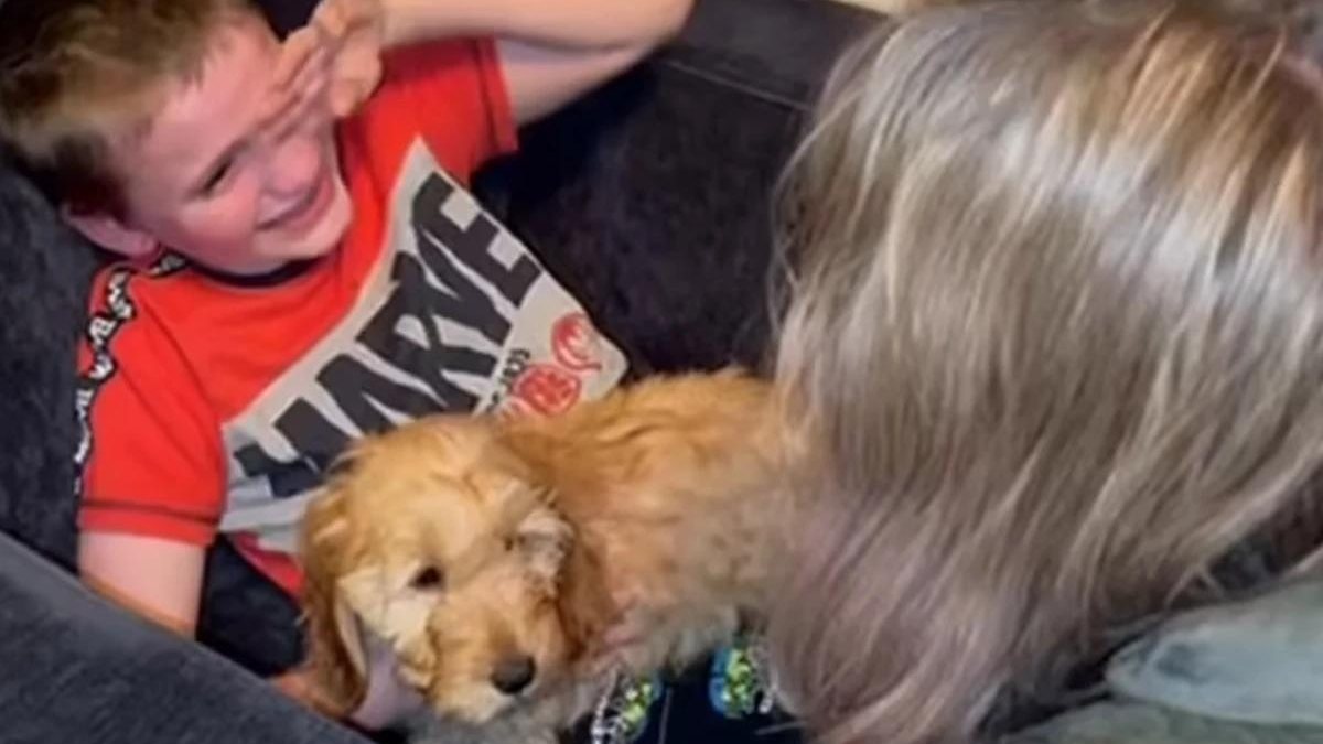 Garoto de 13 anos com deficiência ganha cachorro também com deficiência - Reprodução/YouTube