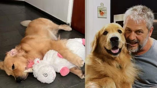 Pai que não queria adotar cachorro se torna melhor amigo dele - Reprodução/ Instagram