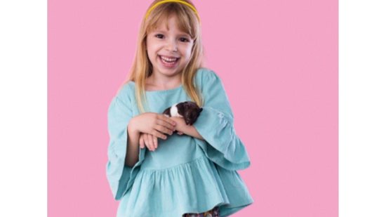 Hamster podem se tornar o pet ideal para o seu filho - Bruno Marçal