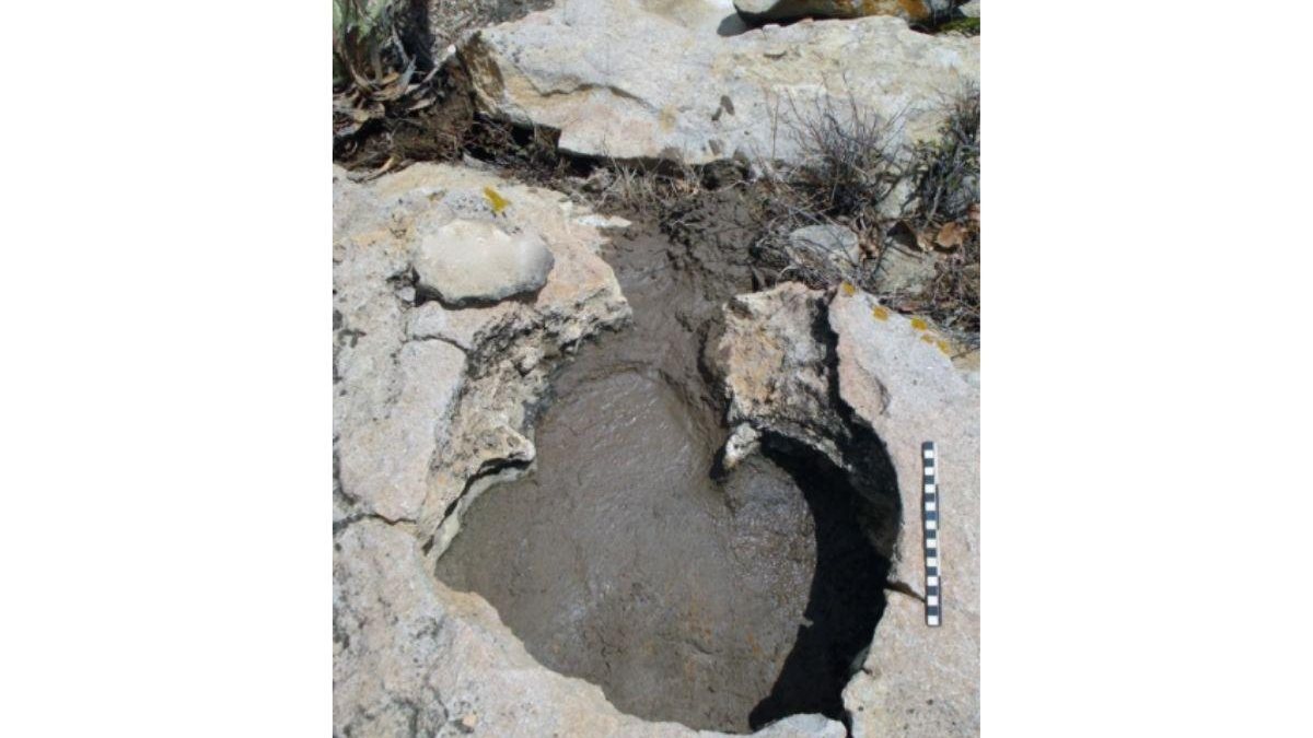 Registros dinossauros encontrados pela primeira vez no Rio Grande do Norte - Reprodução / G1 / URFN