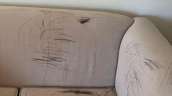A mãe compartilhou a foto do sofá depois que descobriu que a filha havia rabiscado o móvel com uma caneta permanente - Daily Mail / Facebook