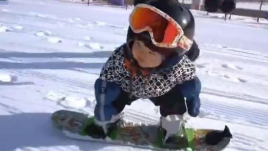 Bebê de 11 meses praticando snowboard - Reprodução/DailyMail