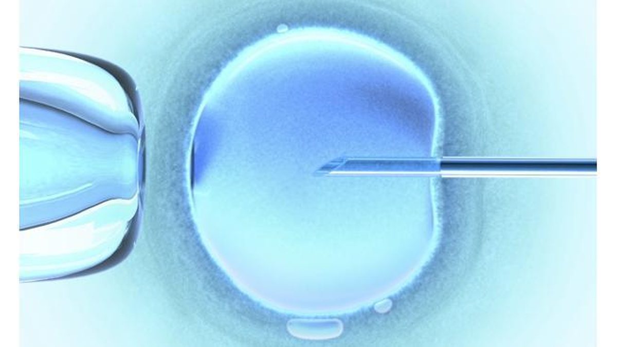 Imagem Técnica aumenta de 24% para 78% os embriões saudáveis
