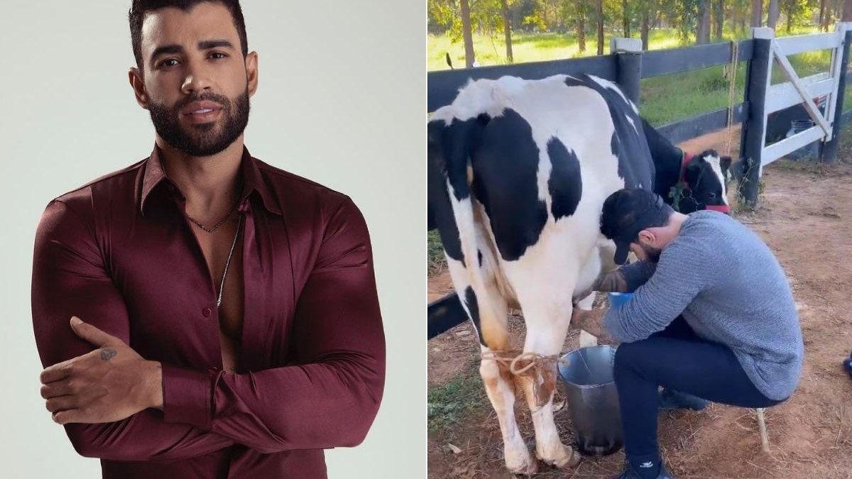 Gusttavo Lima ordenha vaca ao lado do filho - reprodução / Youtube