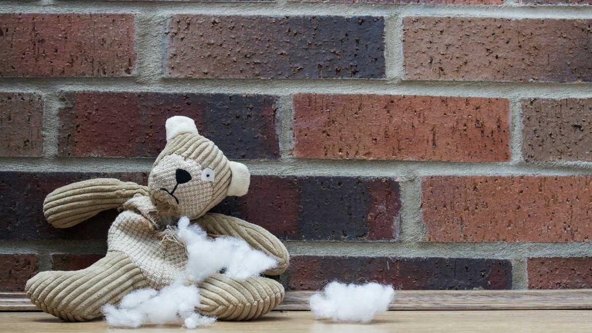 O bebê levou um tiro dentro da própria casa - Getty Images