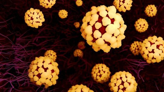 Fake News: informação de que temperaturas altas são capazes de matar novo coronavírus é falsa! - Getty Images