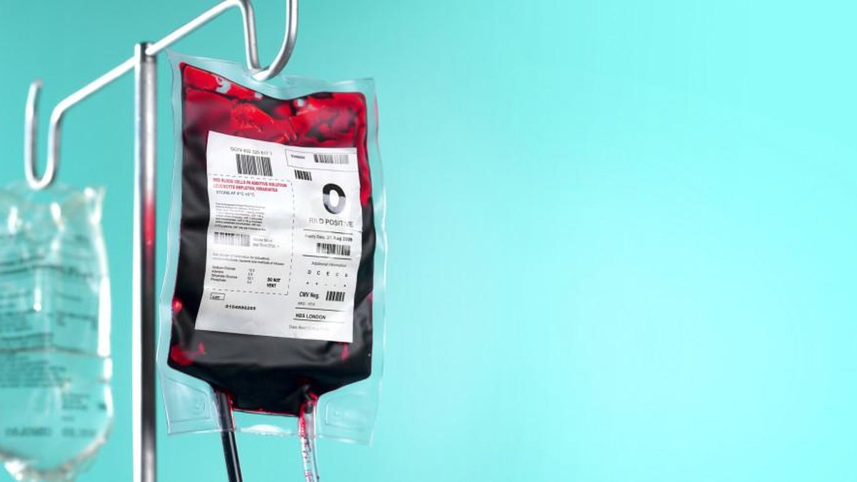 Kopenhagen vai doar ovos de Páscoa para quem fizer doação de sangue em São Paulo - Getty Images