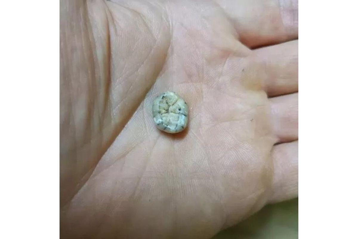 O dente de uma criança de 130 mil anos foi encontrado por pesquisadores